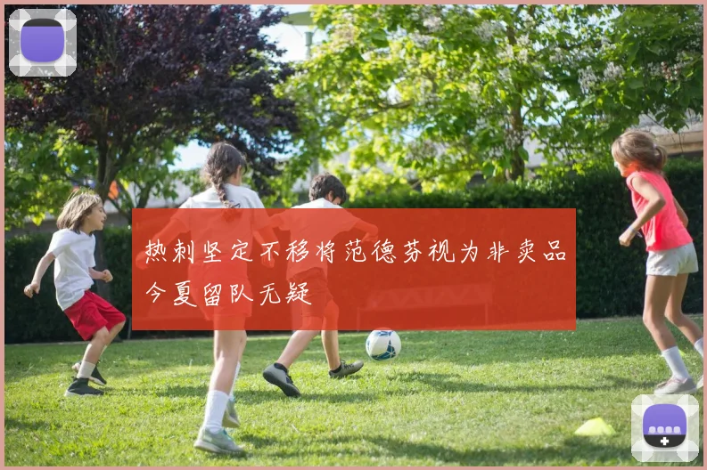 热刺坚定不移将范德芬视为非卖品今夏留队无疑